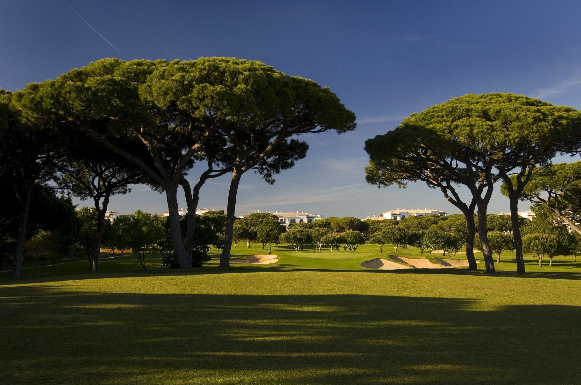Pine Cliffs Gardens Hotel Albufeira Bagian luar foto